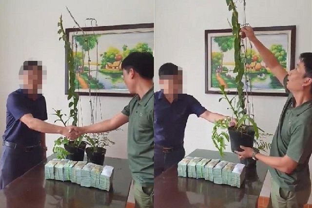 Đại gia Hà Tĩnh ra Hải Phòng mua 2 chậu lan 3,5 tỉ đồng: Có phải đóng thuế không? - Ảnh 1. Đại gia Hà Tĩnh ra Hải Phòng mua 2 chậu lan 3,5 tỉ đồng: Có phải đóng thuế không? - Ảnh 1.