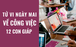 Tử vi ngày mai (16/5/2019) về công việc của 12 con giáp: Tuổi Sửu chưa tạo được chỗ đứng