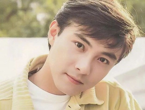 Nhan sắc thế hệ vàng của showbiz Hoa ngữ: Nguyên dàn tiểu sinh mới cũng không thể sánh bằng - Ảnh 12.