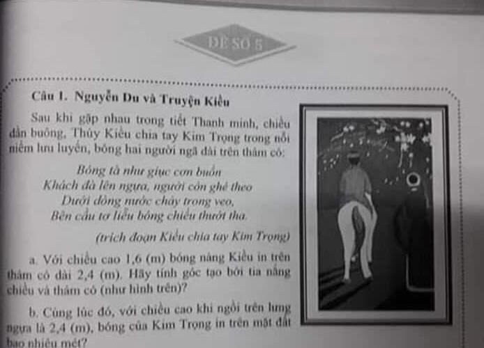 Truyện Kiều vào đề toán, học sinh phải tính bóng của Kim Trọng in trên mặt đất - Ảnh 1. Truyện Kiều vào đề toán, học sinh phải tính bóng của Kim Trọng in trên mặt đất - Ảnh 1.