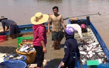 Hơn 388 tấn cá nuôi chết trắng trên hồ Trị An