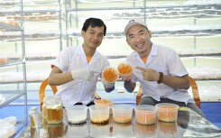 Tiến Luật khoe trang trại lớn, tách riêng kinh doanh mà không có Thu Trang