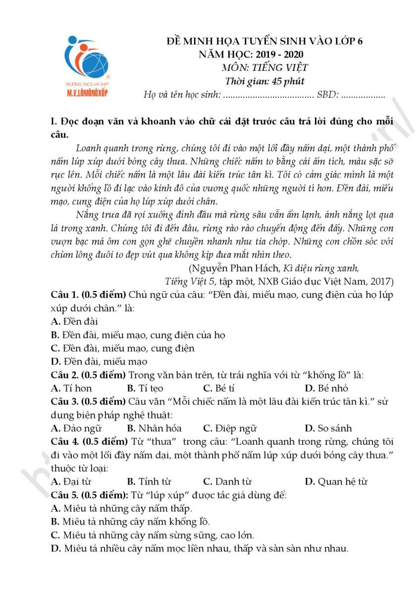 Đề minh họa kiểm tra đánh giá năng lực vào lớp 6 Trường THCS-THPT Lômônôxốp năm 2019 - Ảnh 5. Đề minh họa kiểm tra đánh giá năng lực vào lớp 6 Trường THCS-THPT Lômônôxốp năm 2019 - Ảnh 5.
