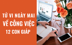 Tử vi ngày mai (18/5/2019) về công việc của 12 con giáp: Tuổi Mão nghỉ xả hơi