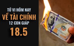 Tử vi hôm nay (18/5/2019) về tài chính của 12 con giáp: Tuổi Mão chọn mạo hiểm thay vì cứng nhắc