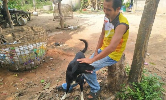 Chú chó cứu bé sơ sinh bị chôn sống trên cánh đồng Thái Lan - Ảnh 2. Chú chó cứu bé sơ sinh bị chôn sống trên cánh đồng Thái Lan - Ảnh 2.