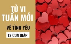 Tử vi tuần mới (20/05 - 26/05) về tình yêu của 12 con giáp: Tuổi Mão đơn phương, Tuổi Hợi viên mãn