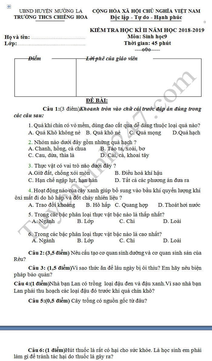 Đề thi học kì 2 lớp 9 môn Sinh học THCS Chiềng Hoa năm 2019 - Ảnh 1. Đề thi học kì 2 lớp 9 môn Sinh học THCS Chiềng Hoa năm 2019 - Ảnh 1.