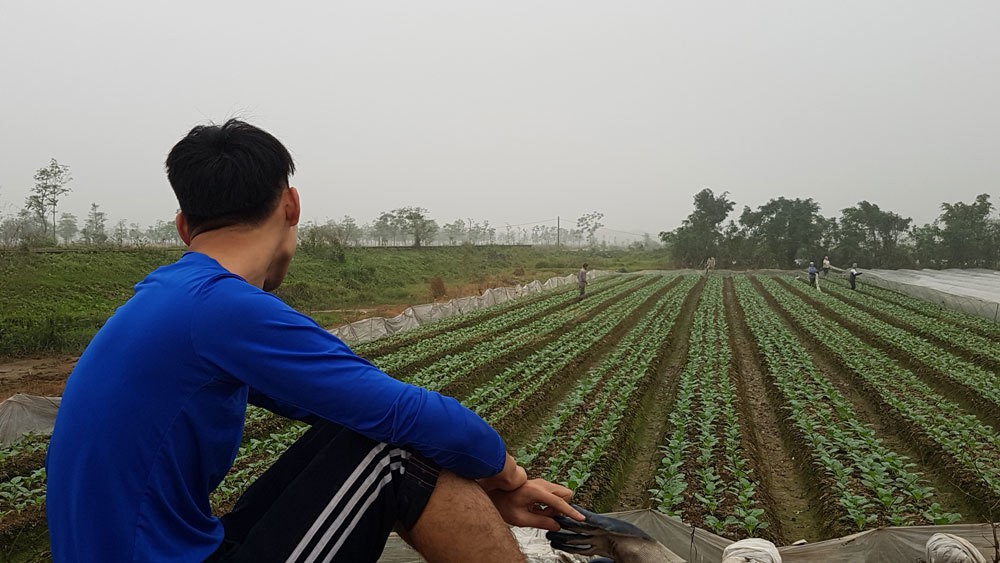 47 dự án đón đầu về Hà Nội, 2.000ha đất hoang bò nhẩn nha ăn cỏ - Ảnh 4. 47 dự án đón đầu về Hà Nội, 2.000ha đất hoang bò nhẩn nha ăn cỏ - Ảnh 4.