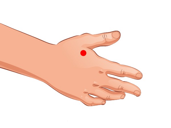 7 điểm trên cơ thể, bạn có thể tự bấm ngay lập tức để giảm cơn đau đầu như búa bổ... - Ảnh 2. 7 điểm trên cơ thể, bạn có thể tự bấm ngay lập tức để giảm cơn đau đầu như búa bổ... - Ảnh 2.