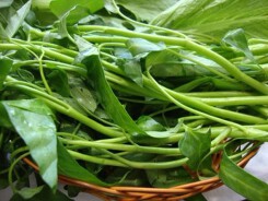 Mắc những bệnh này cấm kị ăn rau muống vì cực độc