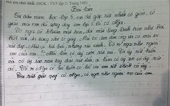 Cười ngất với bài văn tả cô giáo có đôi mắt long lanh tròn như hai hột vải