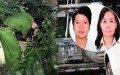 Những vụ trọng án được thực hiện bởi bàn tay phụ nữ như vụ 2 thi thể trong thùng nhựa đầy bê tông