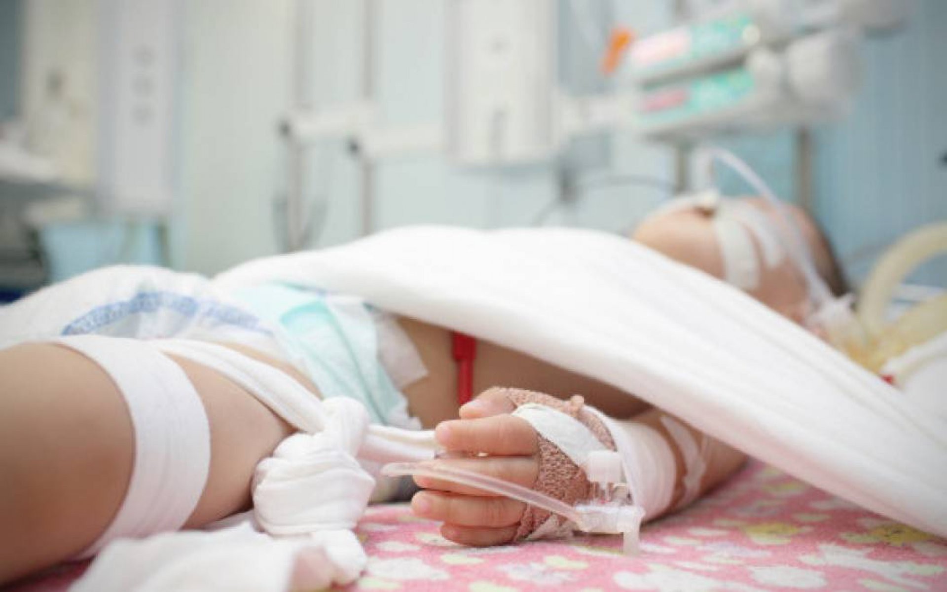 Hà Nội ghi nhận ca viêm não Nhật Bản đầu tiên trong năm 2019 - Ảnh 1. Hà Nội ghi nhận ca viêm não Nhật Bản đầu tiên trong năm 2019 - Ảnh 1.