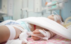 Hà Nội ghi nhận ca viêm não Nhật Bản đầu tiên trong năm 2019