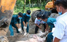 Sau Đồng Nai, Bình Phước, dịch tả heo châu Phi đã xuất hiện tại Bình Dương