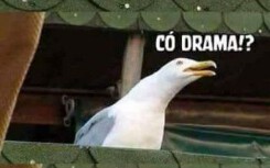 Drama là gì, sao giờ lên mạng, đâu cũng thấy 'drama'?