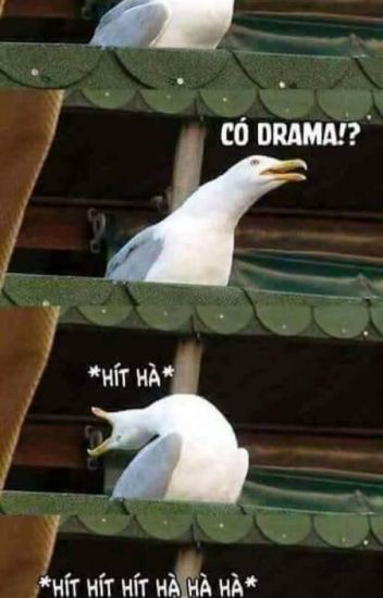 Drama là gì, sao giờ lên mạng, đâu cũng thấy drama? - Ảnh 1. Drama là gì, sao giờ lên mạng, đâu cũng thấy drama? - Ảnh 1.