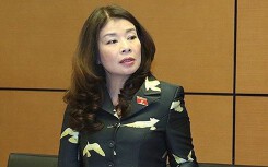 Đại biểu Quốc hội: 'Giá điện không tăng 8,36% như EVN công bố'