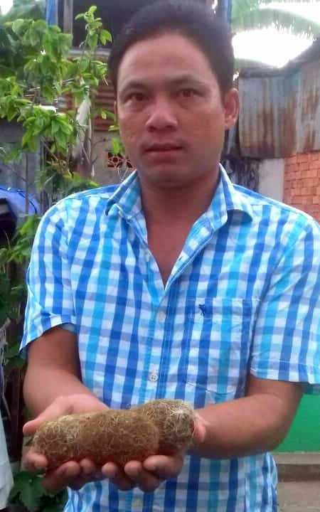 Dân Chợ Mới, An Giang phát hiện 3 vật thể là nghi cát lợn: Sự thật về cát lợn - thứ được cho là thần dược quí hiếm - Ảnh 1.