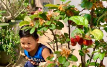 Dự báo thời tiết ngày 23/5: Bắc bộ mưa giảm đi kèm nền nhiệt tăng nhưng vẫn còn mát mẻ