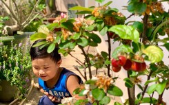 Dự báo thời tiết ngày 23/5: Bắc bộ mưa giảm đi kèm nền nhiệt tăng nhưng vẫn còn mát mẻ