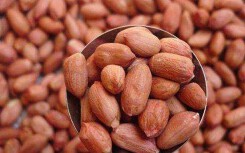Những ngộ nhận khi ăn lạc nhiều người mắc phải, bạn nên tránh