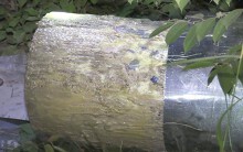 Nữ nghi can giết người bỏ xác vào bê tông đang che giấu điều gì?