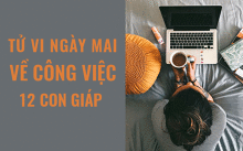 Tử vi ngày mai (24/5/2019) về công việc của 12 con giáp: Tuổi Dậu cần không gian riêng tư