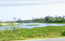 Đầu tư gần 1.600 tỉ đồng nạo vét sông Cổ Cò phát triển du lịch Quảng Nam và Đà Nẵng