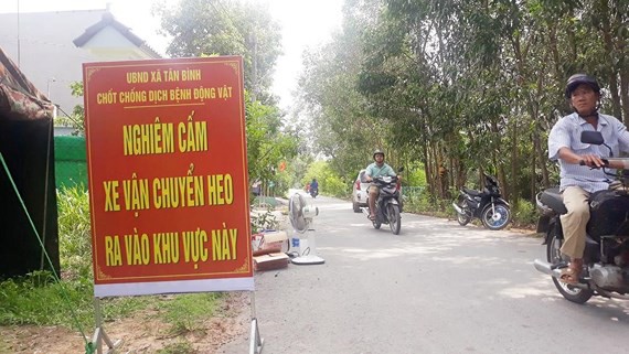 Những tỉnh, thành phía Nam nào đã bùng phát dịch tả heo châu Phi? - Ảnh 3. Những tỉnh, thành phía Nam nào đã bùng phát dịch tả heo châu Phi? - Ảnh 3.