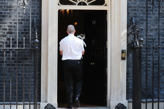 Thêm một thủ tướng Anh ra đi vì Brexit, con mèo Larry vẫn sưởi nắng - Ảnh 2. Thêm một thủ tướng Anh ra đi vì Brexit, con mèo Larry vẫn sưởi nắng - Ảnh 2.