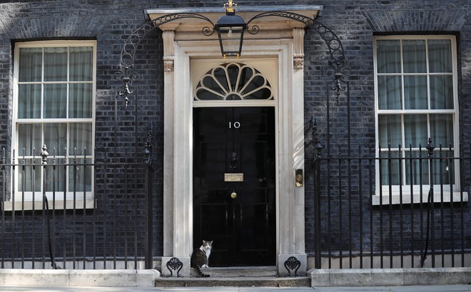 Thêm một thủ tướng Anh ra đi vì Brexit, con mèo Larry vẫn sưởi nắng - Ảnh 3. Thêm một thủ tướng Anh ra đi vì Brexit, con mèo Larry vẫn sưởi nắng - Ảnh 3.