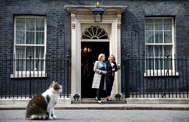 Thêm một thủ tướng Anh ra đi vì Brexit, con mèo Larry vẫn sưởi nắng - Ảnh 6. Thêm một thủ tướng Anh ra đi vì Brexit, con mèo Larry vẫn sưởi nắng - Ảnh 6.