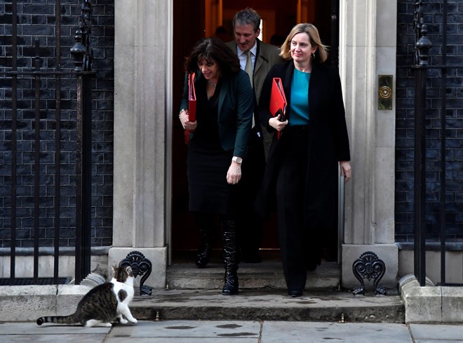 Thêm một thủ tướng Anh ra đi vì Brexit, con mèo Larry vẫn sưởi nắng - Ảnh 7. Thêm một thủ tướng Anh ra đi vì Brexit, con mèo Larry vẫn sưởi nắng - Ảnh 7.
