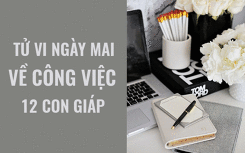 Tử vi ngày mai (27/5/2019) về công việc của 12 con giáp: Tuổi Tý may mắn trong sự nghiệp