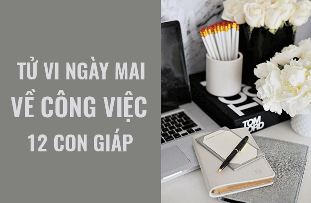 Tử vi ngày mai (27/5/2019) về công việc của 12 con giáp: Tuổi Tý may mắn trong sự nghiệp - Ảnh 1. Tử vi ngày mai (27/5/2019) về công việc của 12 con giáp: Tuổi Tý may mắn trong sự nghiệp - Ảnh 1.