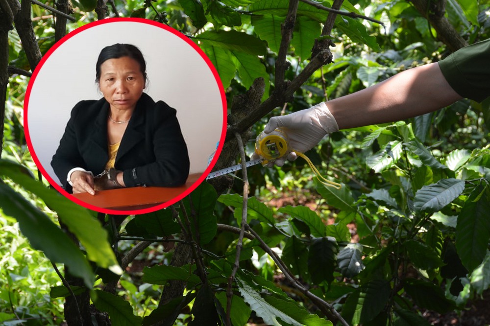 Ba bà cháu bị hàng xóm sát hại, chôn xác phi tang: Chồng nghi can nói Vợ tôi làm thì vợ tôi phải gánh chịu - Ảnh 3.