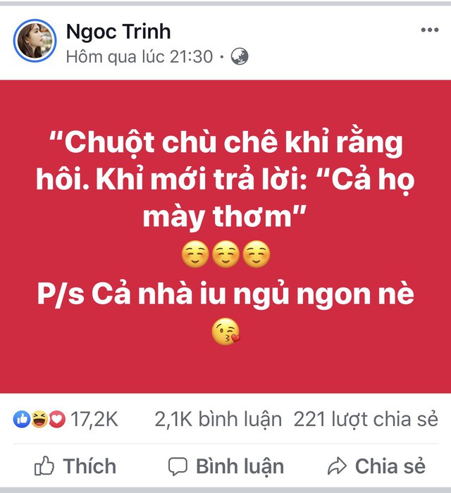 Đá xéo Lý Nhã Kỳ bằng tục ngữ, khán giả khuyên Ngọc Trinh nên im lặng kẻo thành hớ - Ảnh 4. Đá xéo Lý Nhã Kỳ bằng tục ngữ, khán giả khuyên Ngọc Trinh nên im lặng kẻo thành hớ - Ảnh 4.