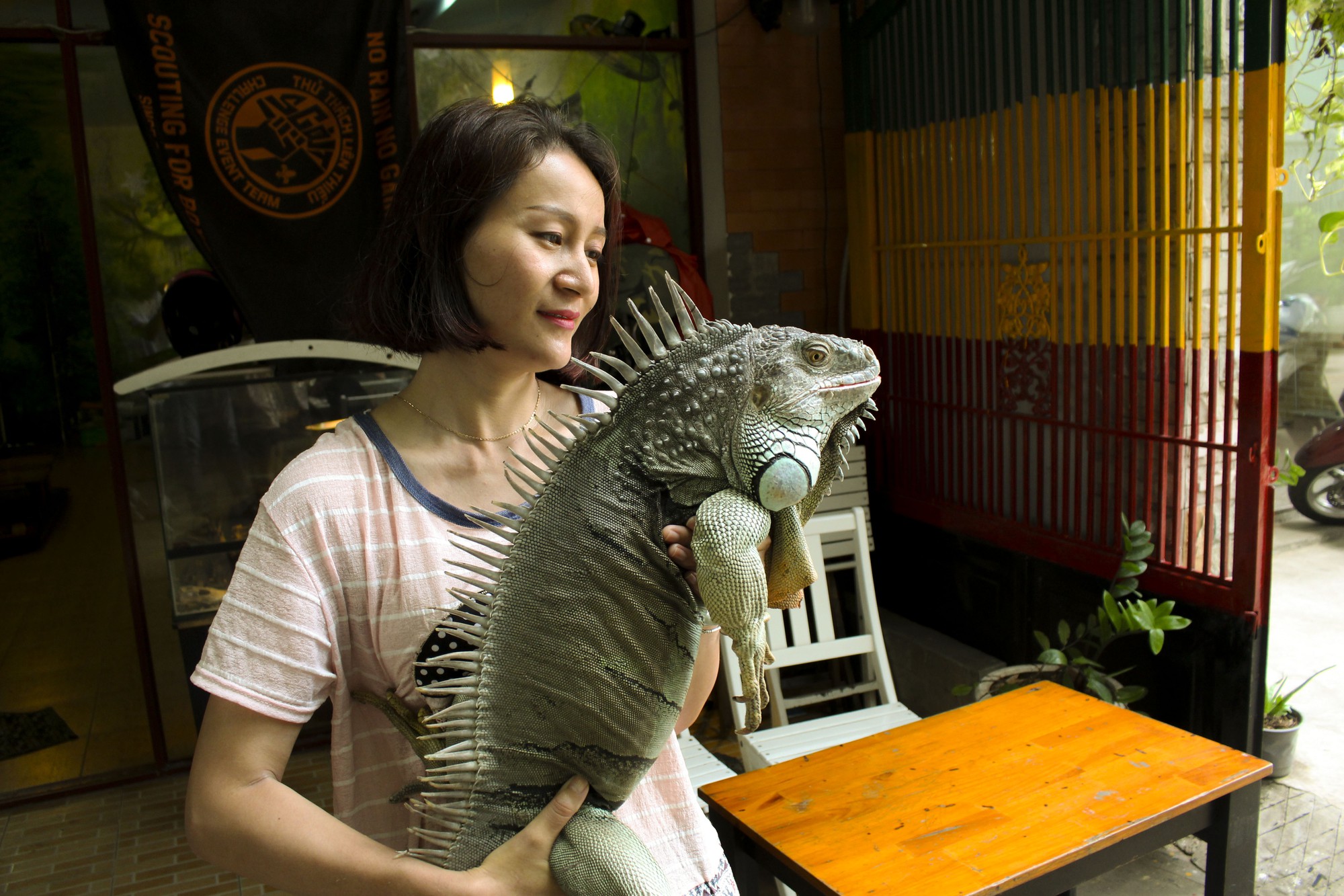 Bộ sưu tập thú cưng bò sát độc lạ của cô chủ trẻ - Ảnh 1. Bộ sưu tập thú cưng bò sát độc lạ của cô chủ trẻ - Ảnh 1.