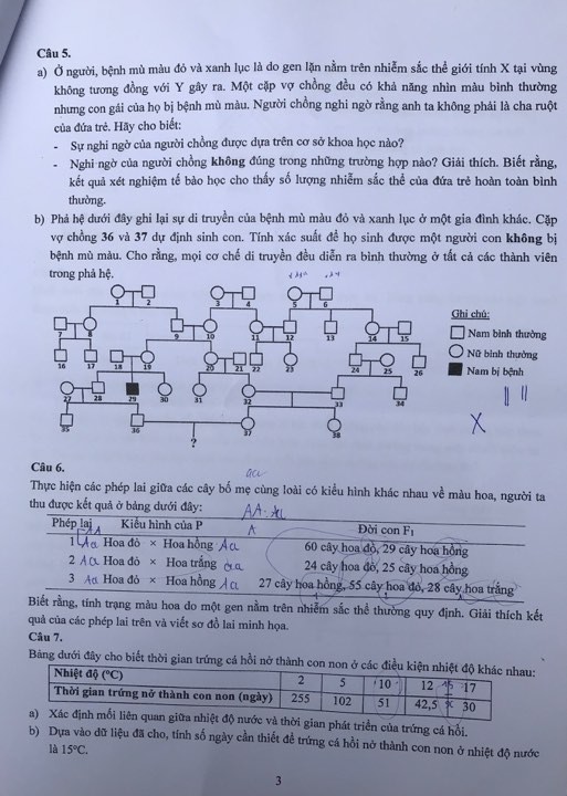 Đề thi vào lớp 10 môn Sinh học THPT chuyên Khoa học Tự nhiên năm 2019 - Ảnh 3.