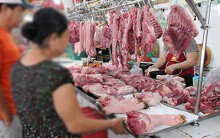 Dịch tả heo châu Phi đã đến Sóc Trăng, miền Tây có 7 tỉnh phát dịch