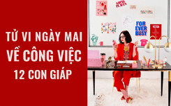 Tử vi ngày mai (28/5/2019) về công việc của 12 con giáp: Tuổi Sửu khám phá bản thân