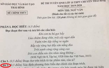 Đề thi tuyển sinh vào lớp 10 môn Văn tại THPT Chuyên Thái Bình bị tố 'có sai sót'?