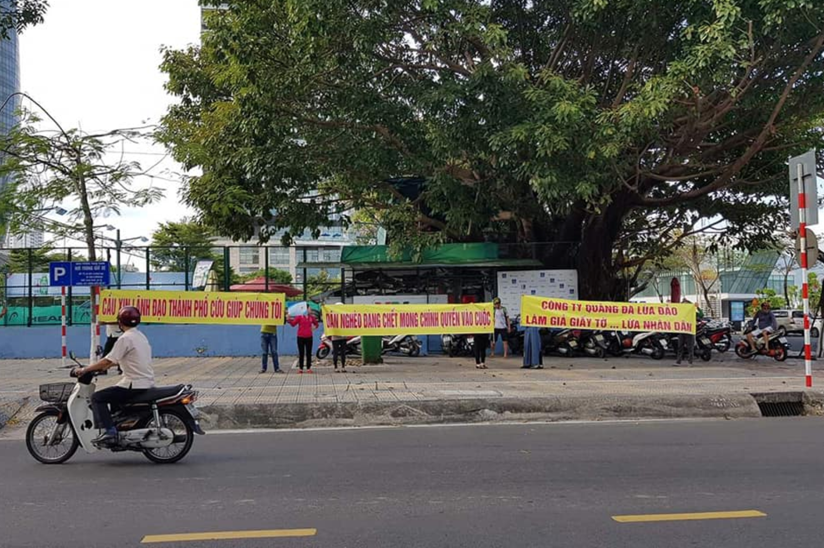 Mua đất dự án ma Đà Nẵng, nhiều người khóc cạn nước mắt vì mất hàng chục tỉ đồng - Ảnh 3. Mua đất dự án ma Đà Nẵng, nhiều người khóc cạn nước mắt vì mất hàng chục tỉ đồng - Ảnh 3.