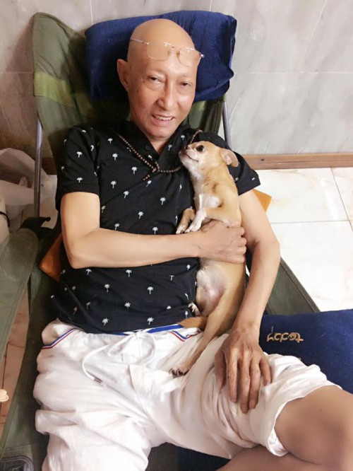 Những hình ảnh cuối cùng của nghệ sĩ Lê Bình và chú chó nhỏ Lucky - Ảnh 1. Những hình ảnh cuối cùng của nghệ sĩ Lê Bình và chú chó nhỏ Lucky - Ảnh 1.