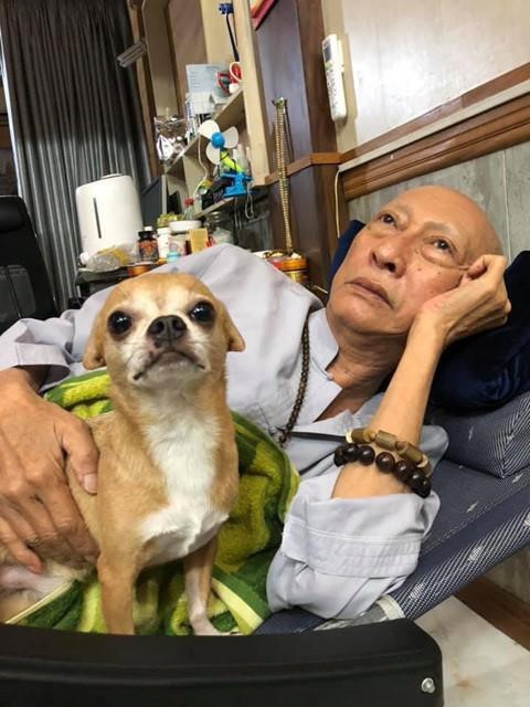 Những hình ảnh cuối cùng của nghệ sĩ Lê Bình và chú chó nhỏ Lucky - Ảnh 4. Những hình ảnh cuối cùng của nghệ sĩ Lê Bình và chú chó nhỏ Lucky - Ảnh 4.