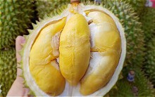 Bất ngờ tài xế có nồng độ cồn vượt quá mức quy định vì ăn sầu riêng