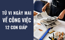 Tử vi ngày mai (4/5/2019) về công việc của 12 con giáp: Đồng nghiệp khiến tuổi Sửu khó chịu