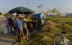 Đi gặt lúa thuê kiếm sống, người phụ nữ bị máy tuốt lúa chém đứt rời cẳng tay